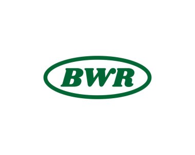 BWR logo tasarım vektör şablonu. BWR