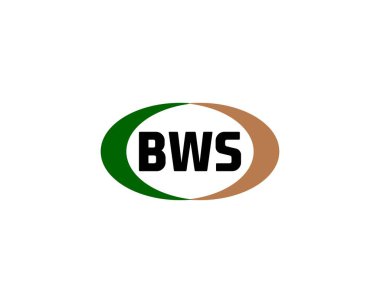 BWS logo tasarım vektör şablonu. BWS