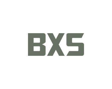 BXS logo tasarım vektör şablonu. BXS