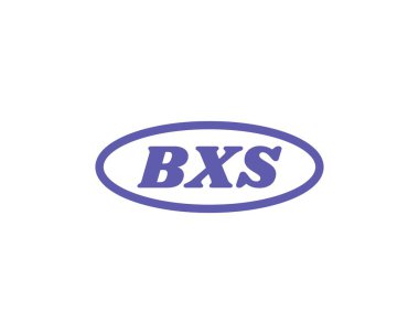 BXS logo tasarım vektör şablonu. BXS