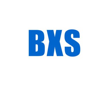 BXS logo tasarım vektör şablonu. BXS