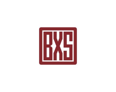 BXS logo tasarım vektör şablonu. BXS