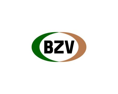 BZV logo tasarım vektör şablonu. BZV