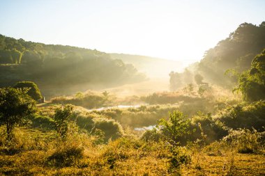 Sabah ışığı, Tayland 'ın yerel bölgesinde kırsal atmosfer tarım yapıyor ve hayvanları kullanmak için yetiştiriyor.