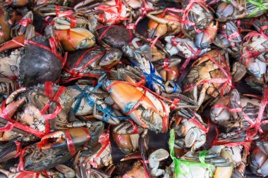 Fresh crabs on tray for sale in Thailand market.