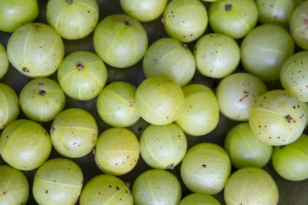 Indian Gooseberry. fruit extract Used decrease the blood glucose and antimicrobial in ayurvedic medicines.
