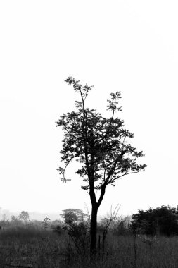 Picture concept, The road ahead will be long. Start from the first step. Image has shallow depth of field