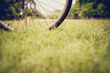 Vintage bicycle on grass. Image has shallow depth of field.