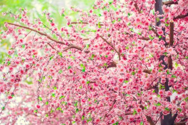 Artificial Sakura flowers for decorating japanese style. Spring blossom. Image has shallow depth of field.