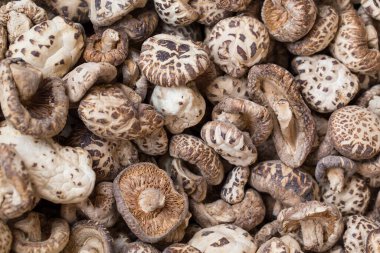 Beyaz Mantarlar Pişmeye Hazır