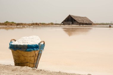 Samutsakorn, Tayland 'dan tuz yığınları