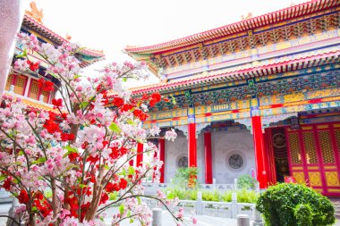 Tayland, Nonthaburi 'deki Wat Leng-Noei-Yi' deki geleneksel Çin tarzı tapınak.