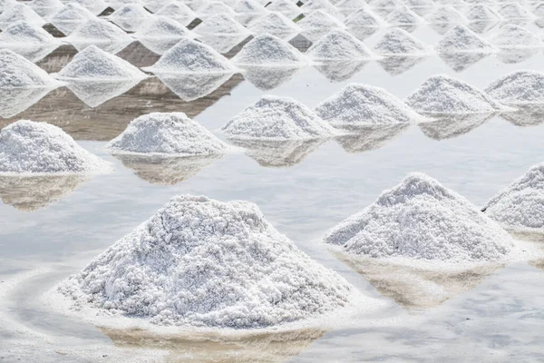 Salt Piles Saline Samutsakorn Thailand — стоковое фото