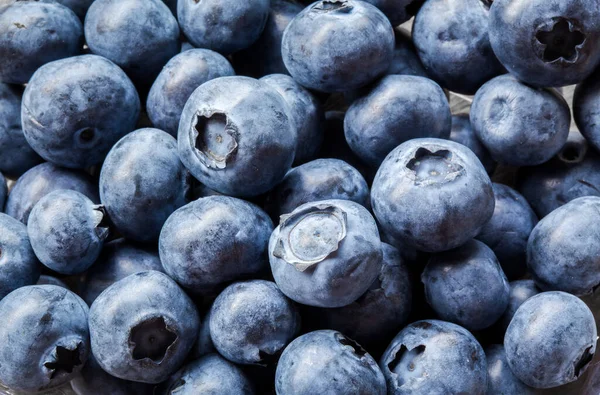 Fresh Blue berries, sweet, juicy berries for background