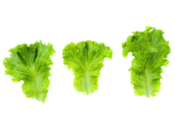 Beyaz Arka Planda Taze Organik Yeşil Yapraklar Temiz Sağlıklı Yemek — Stok fotoğraf