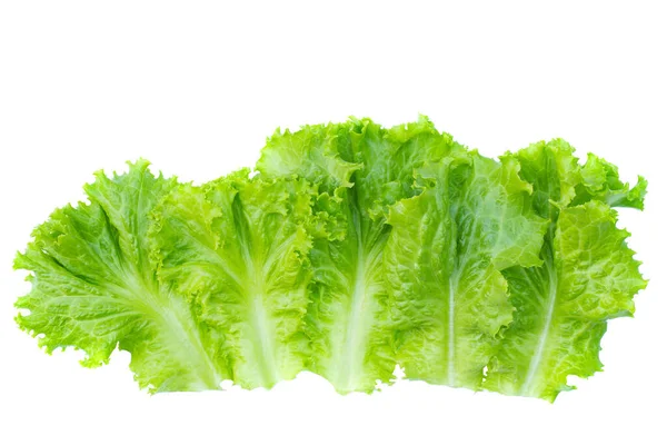 Čerstvé Organické Zelené Listy Zeleniny Bílém Pozadí Obrázek Používaný Pro — Stock fotografie