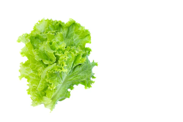 新鮮な有機グリーンは白い背景に野菜を残します 健康的な食事の背景に使われる写真です 重量を制御するためにサラダを食べる — ストック写真