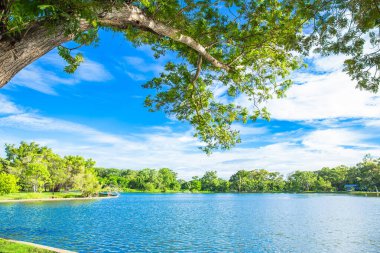 Temiz hava Mavi gökyüzü ve rüzgarlı ağaçlar Sabah nehirde usulca esti