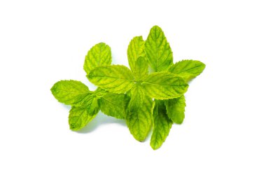 Tay taze nane yaprağı, üzerine biraz da yiyecek eklemek için. Beyaz yapraklı ağaç. Nane ya da nane kokulu diş macunu karışımı..