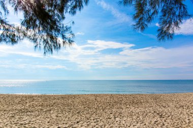 Tayland 'da güzel bir sahil. Hindistan cevizi palmiyeli tropikal deniz plajı manzarası. Arka plan ve tatil seyahati konsepti için tropik kum plajı tatili.