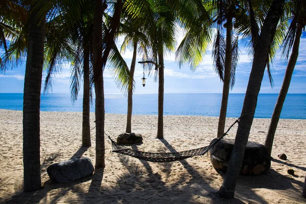 Piękna Plaża Tajlandii Widok Słonecznej Tropikalnej Plaży Morskiej Palmami Kokosowymi — Zdjęcie stockowe