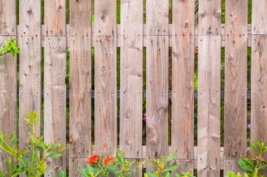 Yeşil çimenli ahşap çit desenli arka plan.