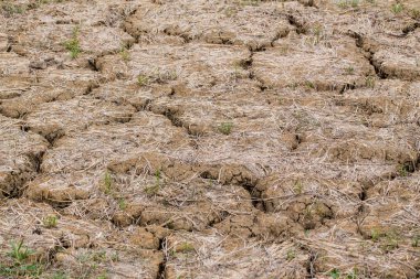Kil çöl dokusu, kuru çatlamış toprak arka planı. Küresel sıcaklık