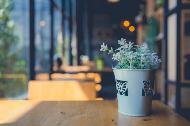 Dekorasyon için suni bitki plastik ağacının klasik ses tonu ve kahve dükkanındaki müşteriler için tazelik hissi. Metin veya sanat tasarımı için arkaplan alanı.