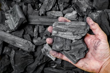 Yaşlı ağaçtan gelen doğal siyah kömür. Kışın ya da ev halkı için yüksek odun enerjisi kömürü.