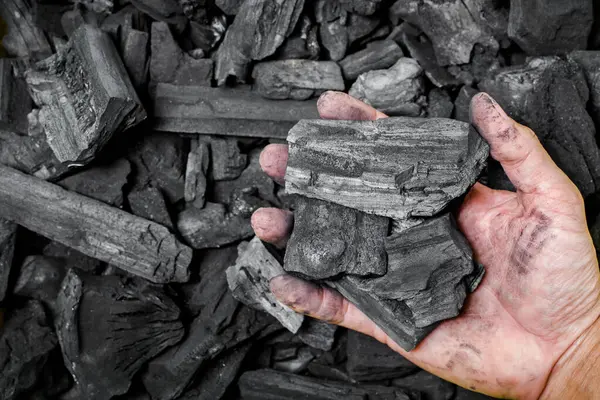 Yaşlı ağaçtan gelen doğal siyah kömür. Kışın ya da ev halkı için yüksek odun enerjisi kömürü.