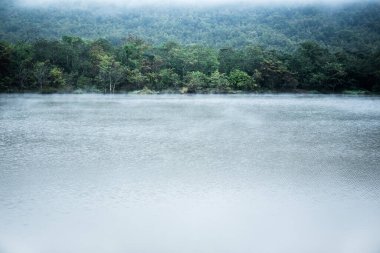 Güneş ışığı ve rüzgârlı temiz hava ağaçları arka plan için sabah kanalda usulca esiyordu. Yüksek dağ gölü.