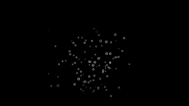 美しい白色の円の抽象的な背景 — ストック動画
