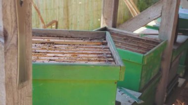 Arıcı bal dolu bal peteğiyle hile yapıyor.