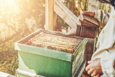 Arıları dumanla işlemek için duman arıcısı