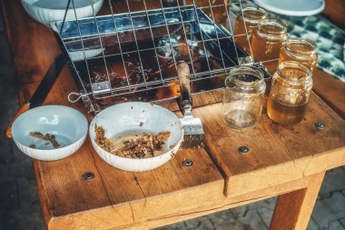 Bal peteğinin çıktısını almak için tarakla çalış. Evde bal işleniyor. Cam şişelerde bal