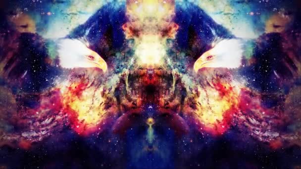 Eagle Cosmic Space Profile Portratit Computer Collage — Stock Video