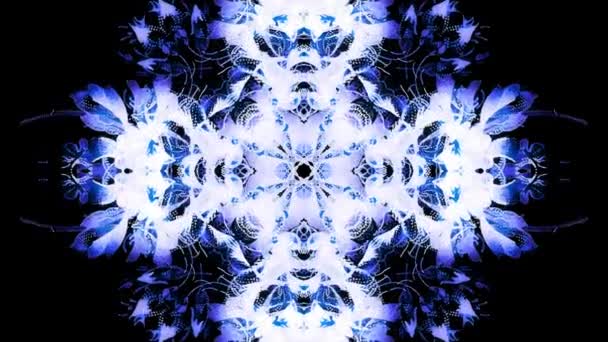 Ornamental Mandala Blue Color Structure Loop Animation — Vídeos de Stock