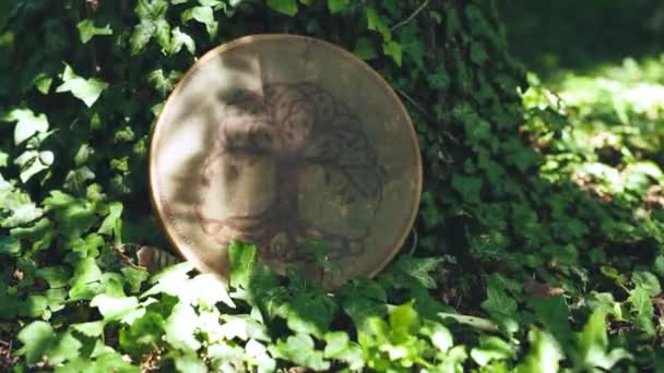 Doğada Şamanik Davul Geyik Keçisinden Yapılmış Şamanik Davul — Stok video