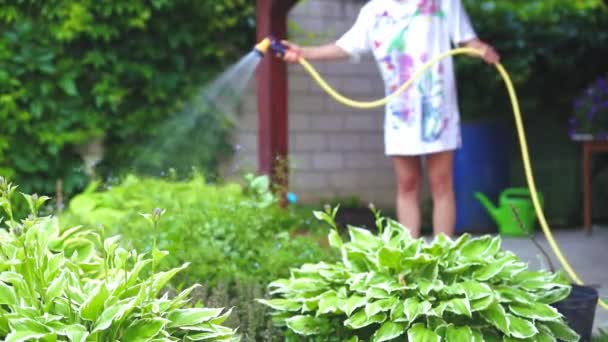 Woman Watering Garden — Stock Video