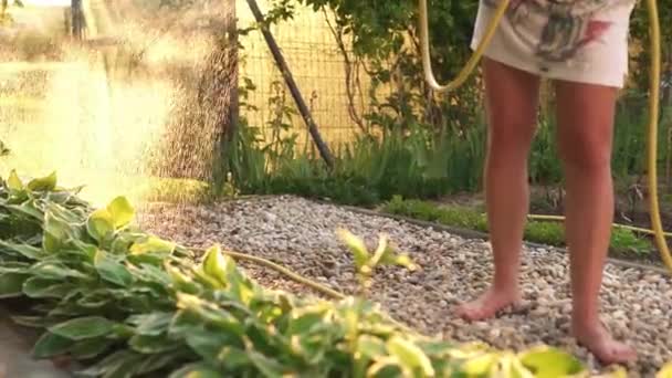 Woman Watering Garden — Vídeo de stock