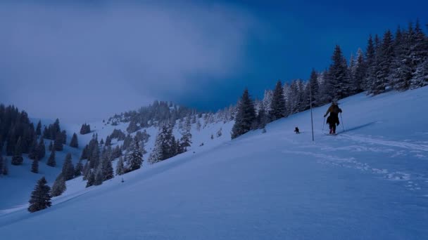 Hombre Esquiando Las Montañas Con Perro Esquí Caminando Por Las — Vídeos de Stock