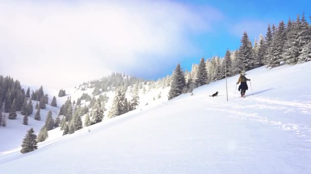 Man Skiën Bergen Met Een Hond Ski Wandelen Bergen Met — Stockvideo