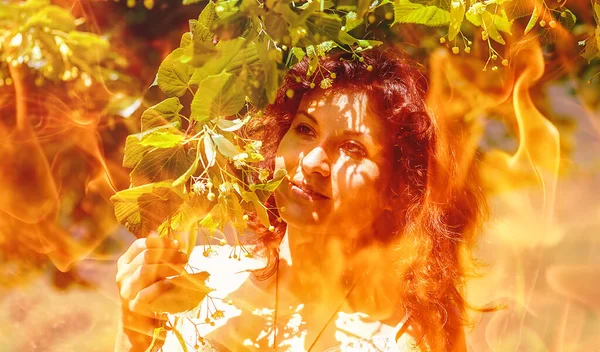 明るい夏の日火の効果で美しいリンデンの木の花を拾い — ストック写真