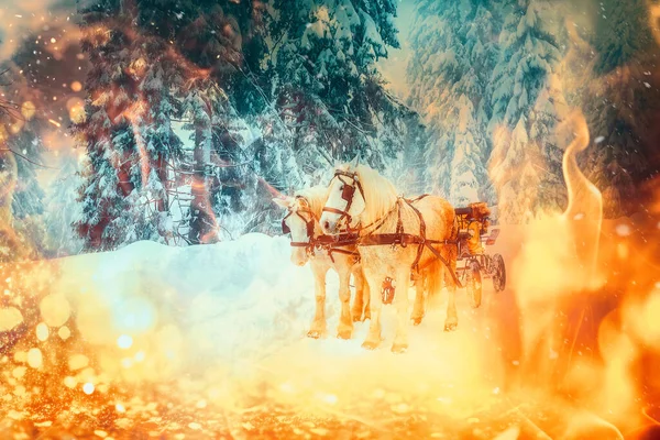 两匹美丽的白马在高山上的冬季风景 火力效果 — 图库照片