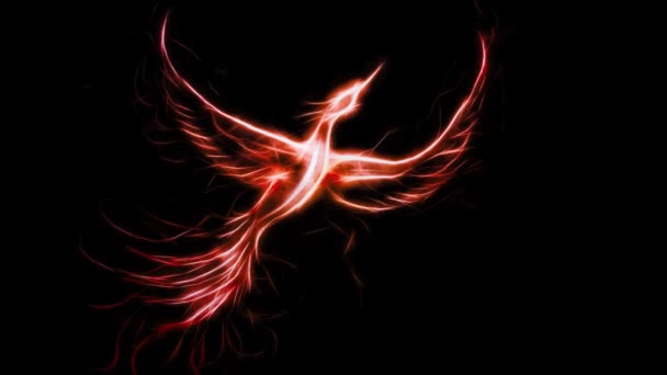 Flying Phoenix Bird Symbol Rebirth New Beginning Loop Animation — Stock Video
