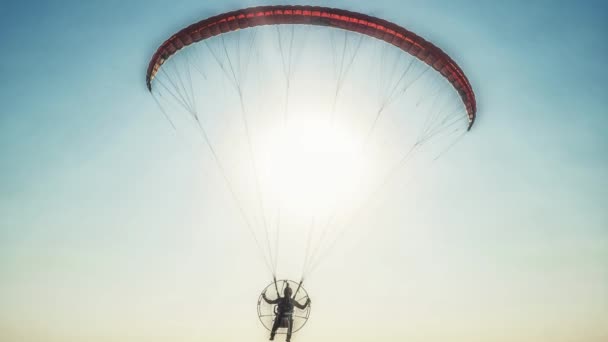 Paraglider Air Beautiful Blue Sky Background Loop Animation — Wideo stockowe