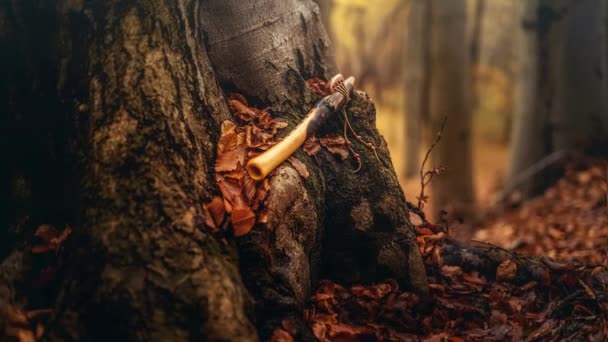 モスツリーの森で シャーマンフルート ループ アニメーション — ストック動画