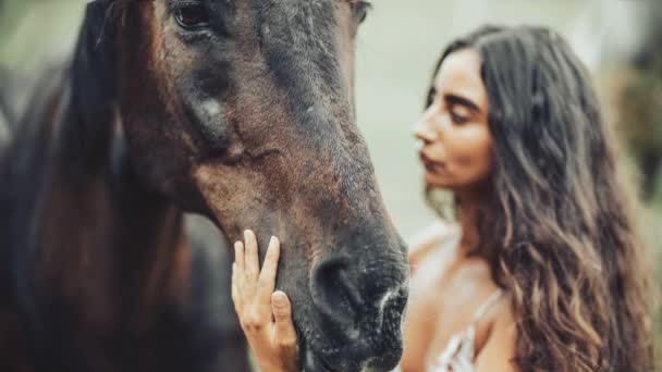 Ritratto Donna Cavallo All Aperto Una Donna Che Accarezza Cavallo — Video Stock