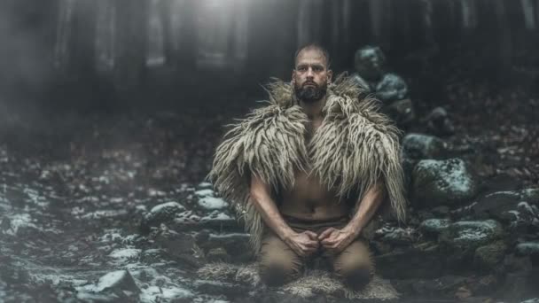 Şamanik Bir Adam Kış Manzarası Döngü Canlandırması — Stok video
