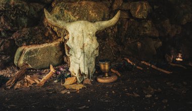 Mağaradaki hayvan kafatası. Tören alanı